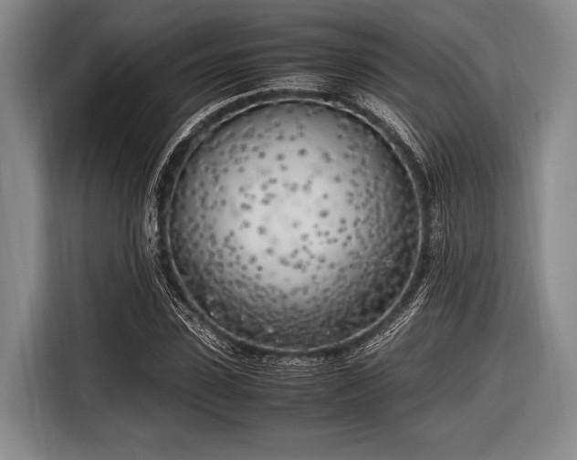X0000116620923200912181302