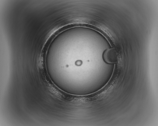 X0000116620926200912181302