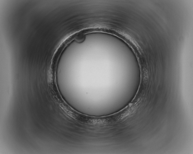 X0000116620927200912181302