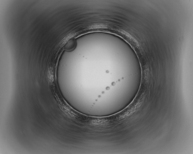 X0000116620929200912181302