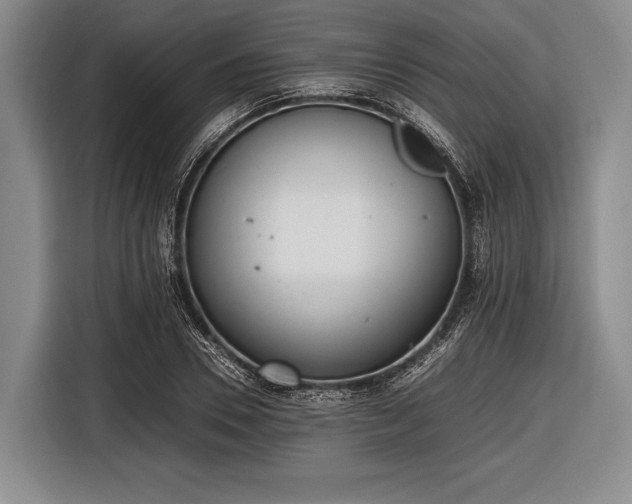 X0000116620930200912181302