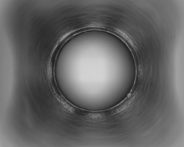 X0000116620931200912181302