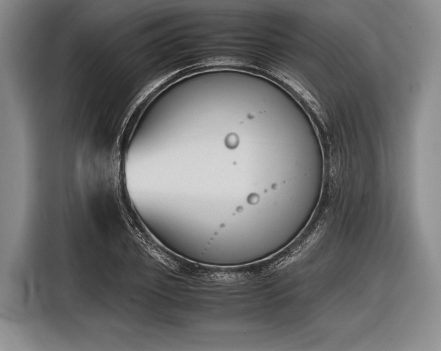 X0000116620933200912181302