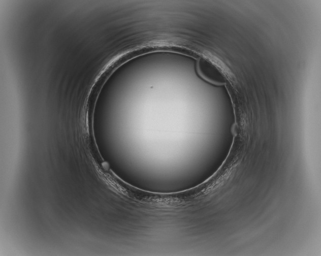 X0000116620934200912181302