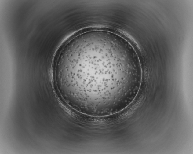 X0000116620935200912181302