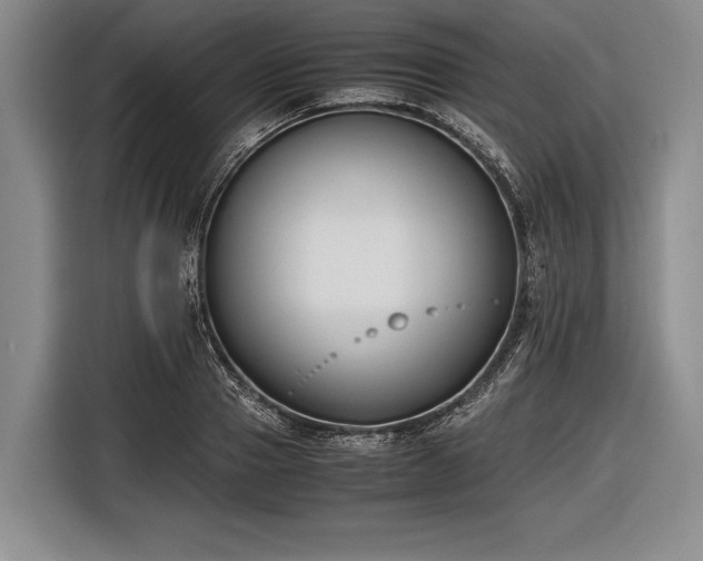 X0000116620937200912181302