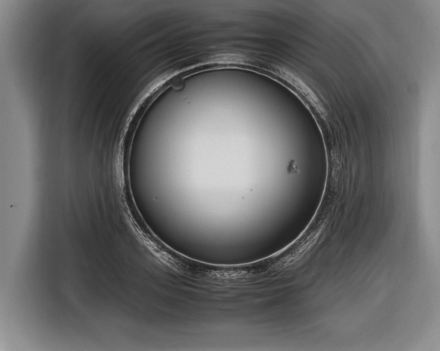 X0000116620939200912181302