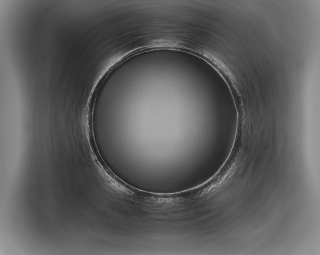 X0000116620941200912181302