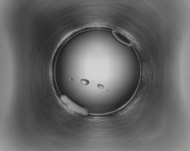 X0000116620942200912181302