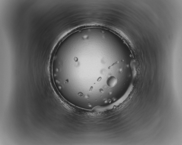 X0000116620943200912181302