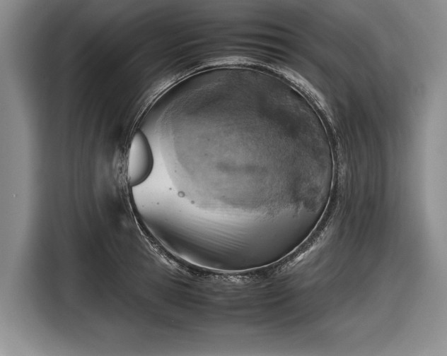 X0000116620945200912181302