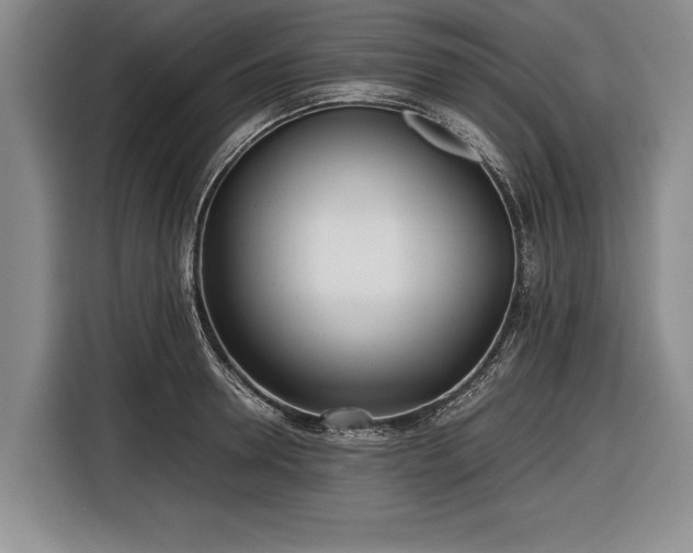 X0000116620946200912181302