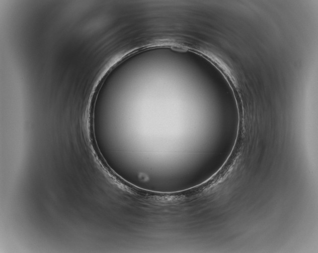 X0000116620949200912181302