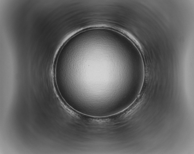 X0000116620951200912181302