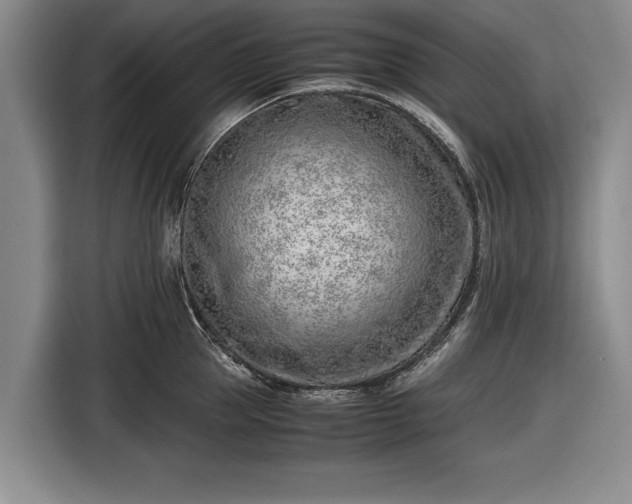 X0000116620953200912181302