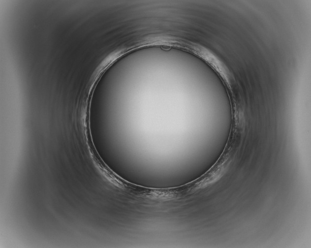 X0000116620954200912181302