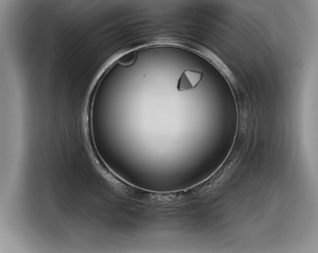 X0000116620955200912181302