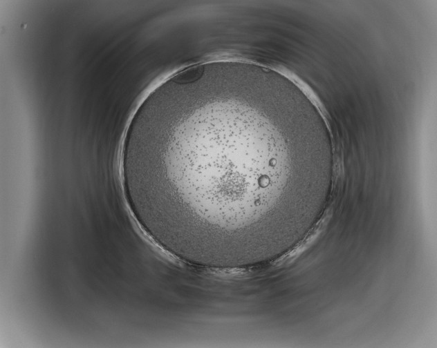 X0000116620957200912181302