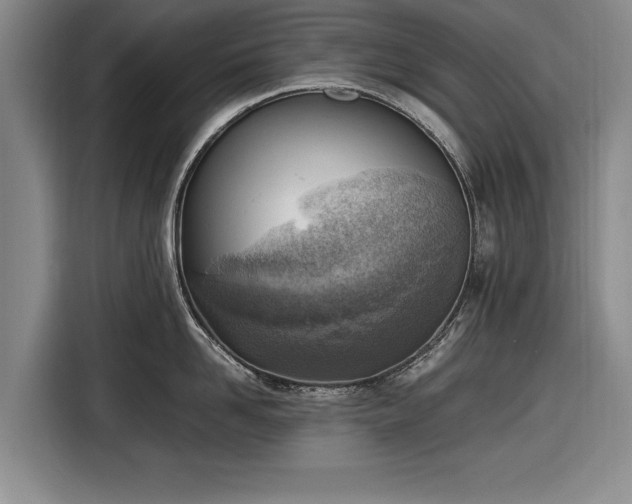 X0000116620958200912181302