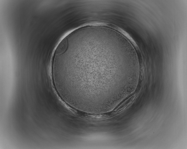 X0000116620959200912181302