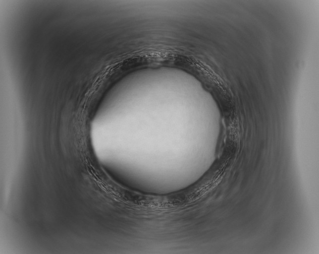 X0000116620961200912181302