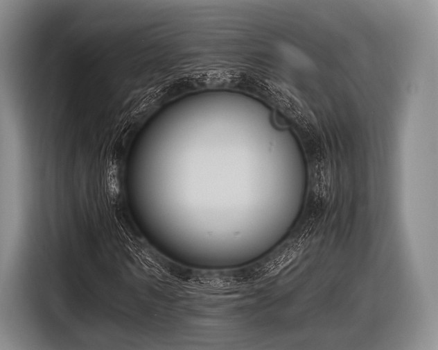 X0000116620962200912181302