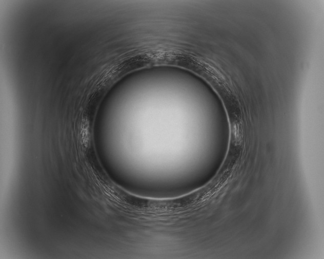 X0000116620963200912181302