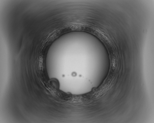 X0000116620964200912181302