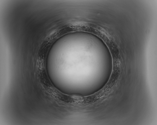 X0000116620965200912181302