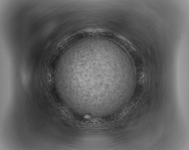 X0000116620966200912181302