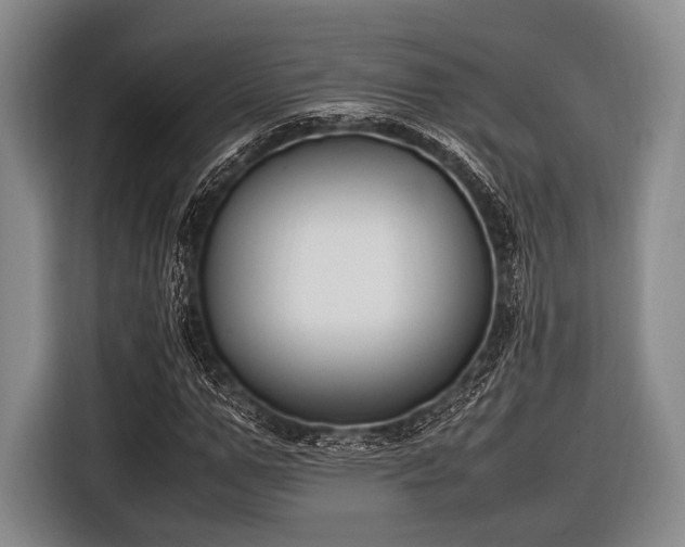 X0000116620967200912181302