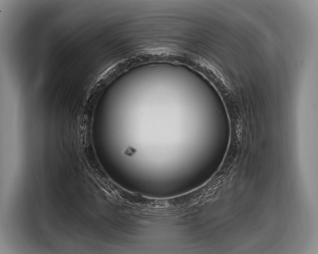 X0000116620968200912181301