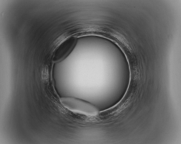 X0000116620969200912181301