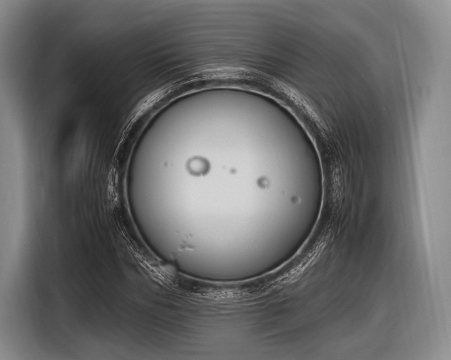 X0000116620970200912181301