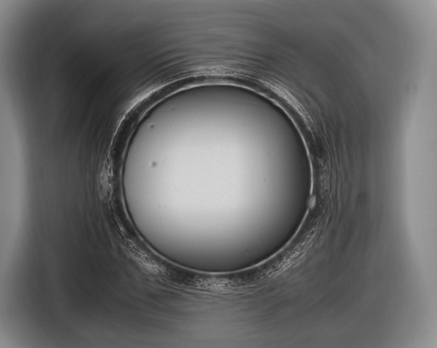X0000116620971200912181301