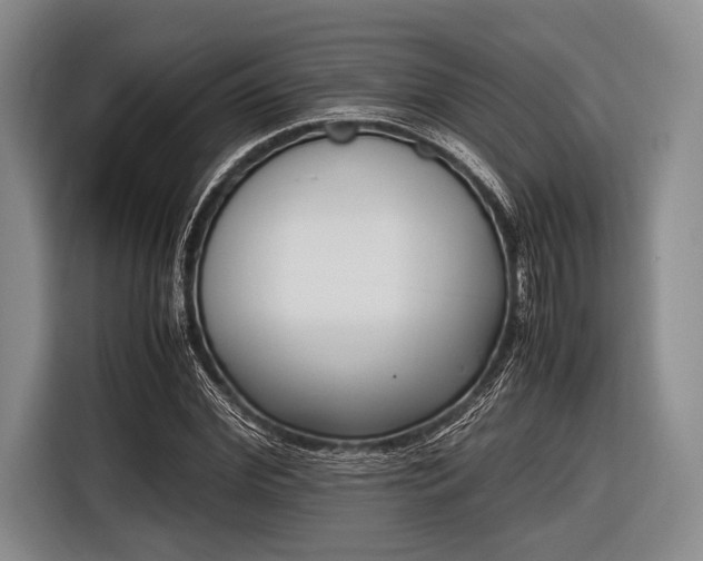X0000116620972200912181301