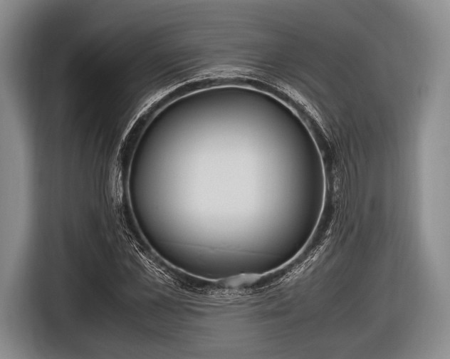 X0000116620973200912181301