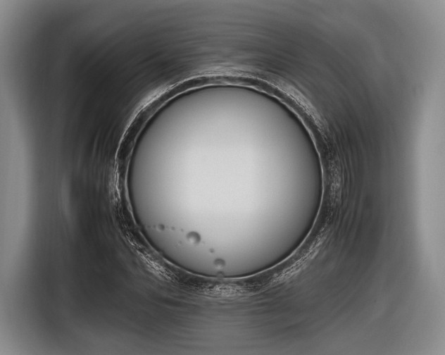 X0000116620974200912181301