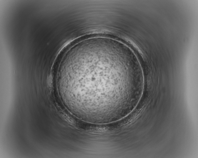 X0000116620975200912181301