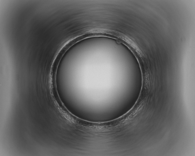 X0000116620976200912181301