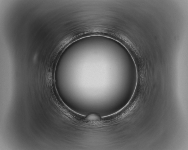 X0000116620977200912181301