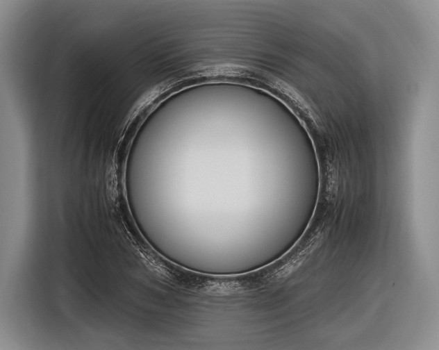X0000116620978200912181301