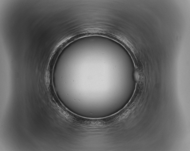 X0000116620979200912181301
