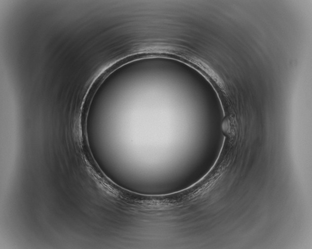 X0000116620980200912181301