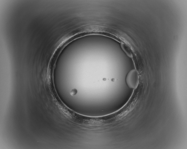 X0000116620981200912181301