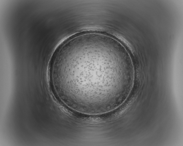 X0000116620983200912181301