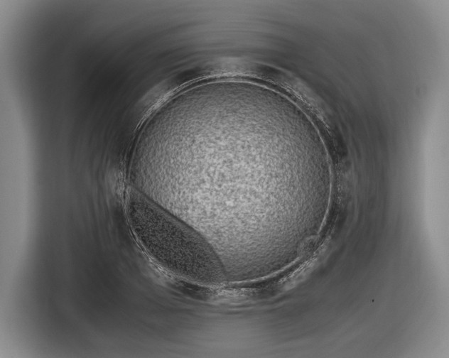X0000116620985200912181301