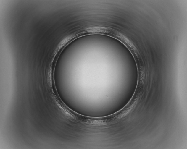 X0000116620986200912181301