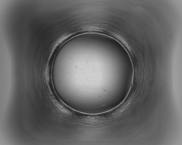 X0000116620987200912181301
