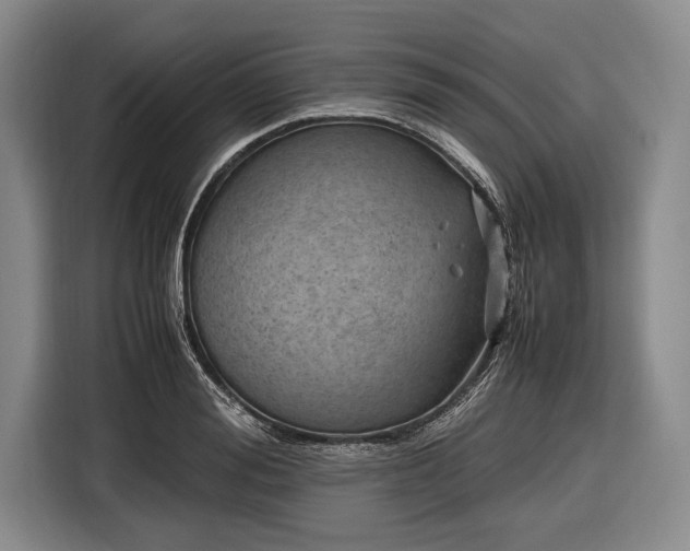 X0000116620988200912181301